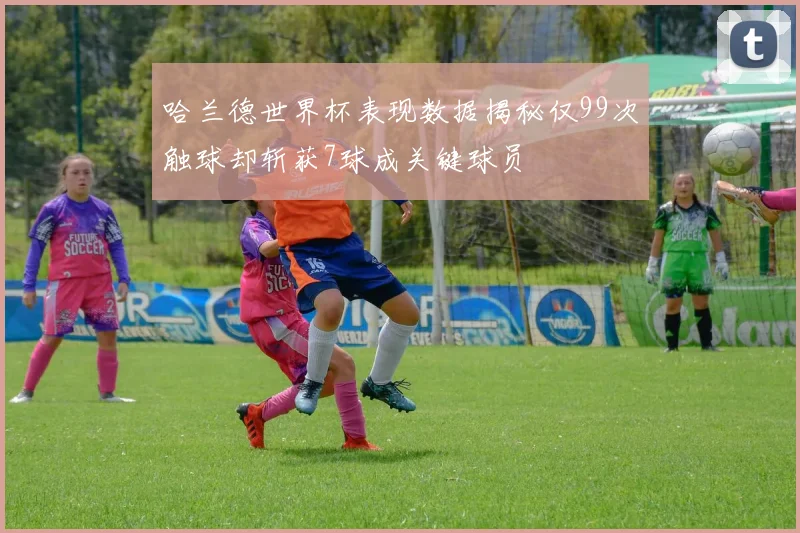 哈兰德世界杯表现数据揭秘仅99次触球却斩获7球成关键球员