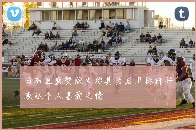 马布里盛赞欧文称其为后卫标杆并表达个人喜爱之情