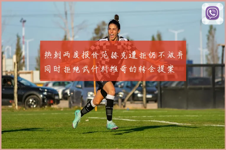 热刺两度报价范赫克遭拒仍不放弃同时拒绝武什科维奇的转会提案